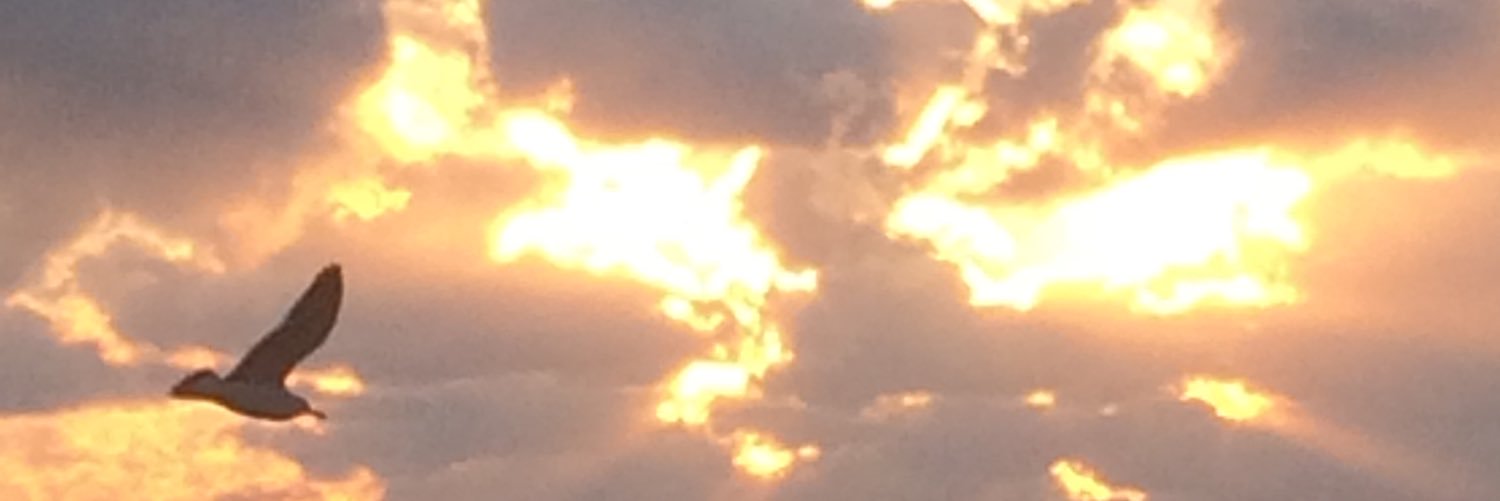 4432don's profile banner image