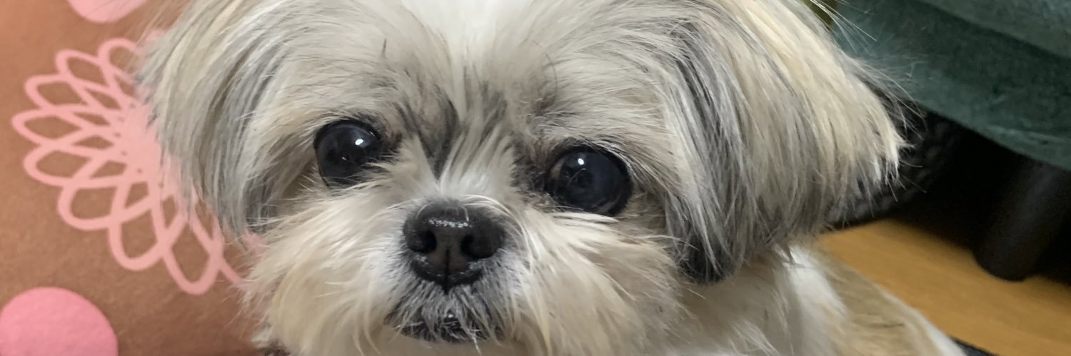 a_maplayer08's profile banner image