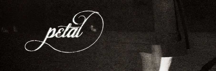 anique searching for tickets banner