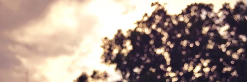 rainbow_pm's profile banner image