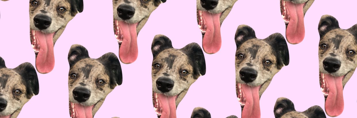 shadyrachy's profile banner image