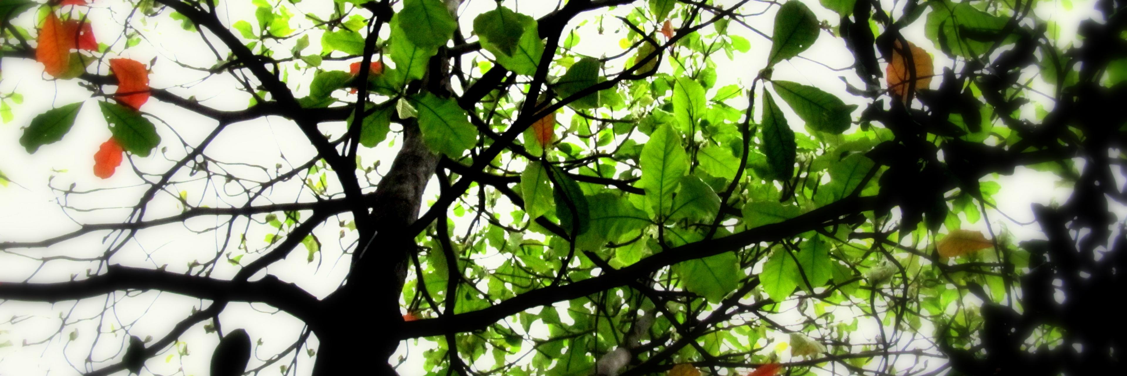 DenisePrivett's profile banner image