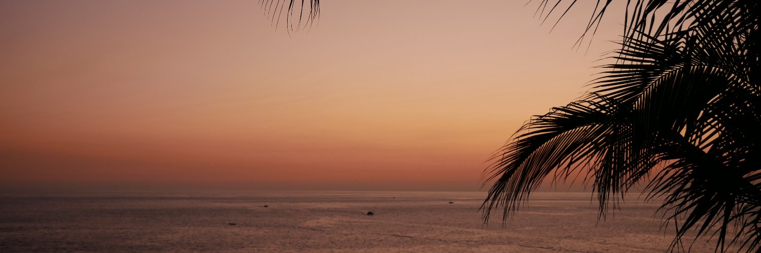 miryflowers's profile banner image