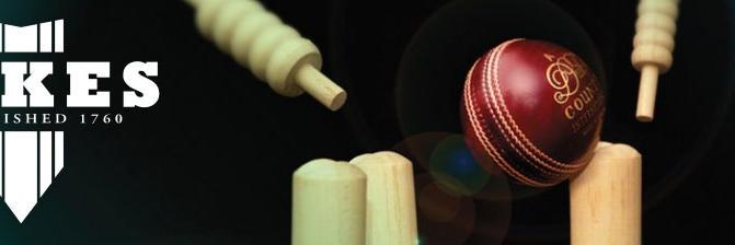 Dukes Cricket banner