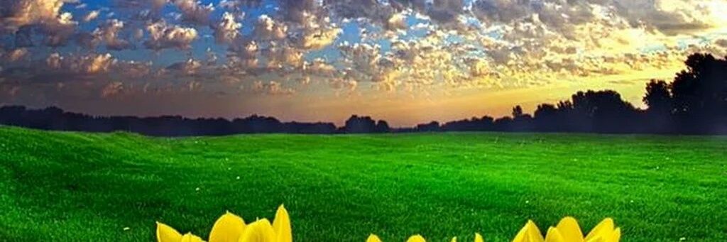hhf13579's profile banner image