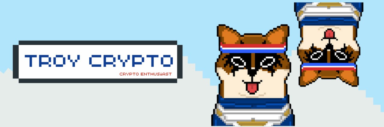 TROY CRYPTO banner