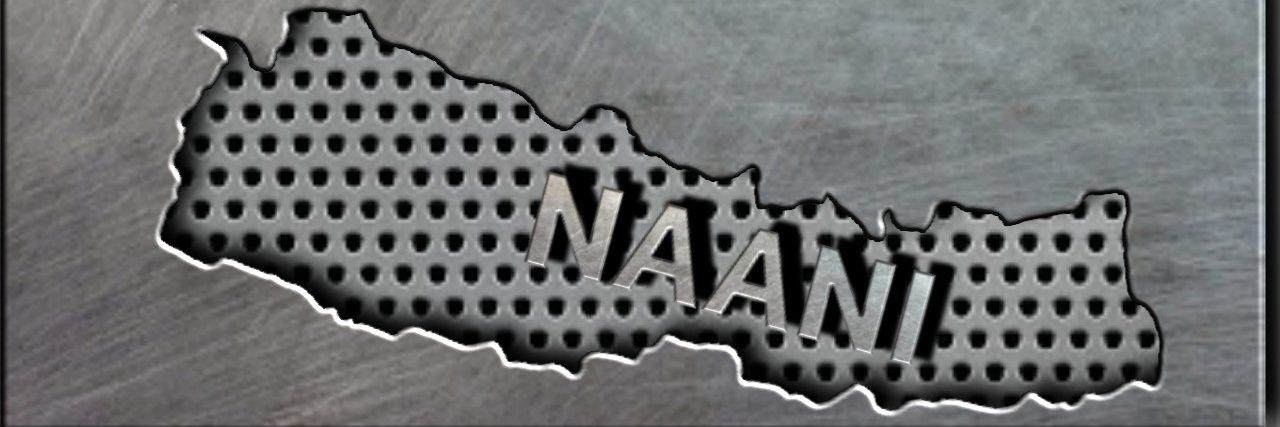 राष्ट्रिय_नानी❣️ banner