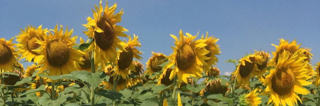 ErinTay91's profile banner image
