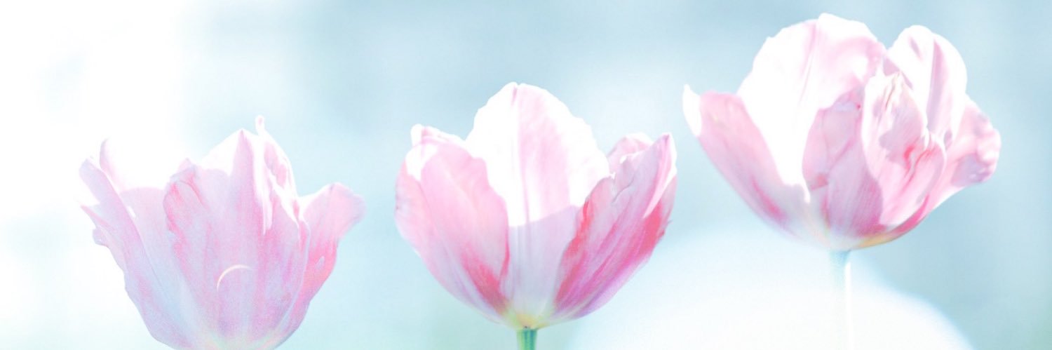 MeeeeK203's profile banner image