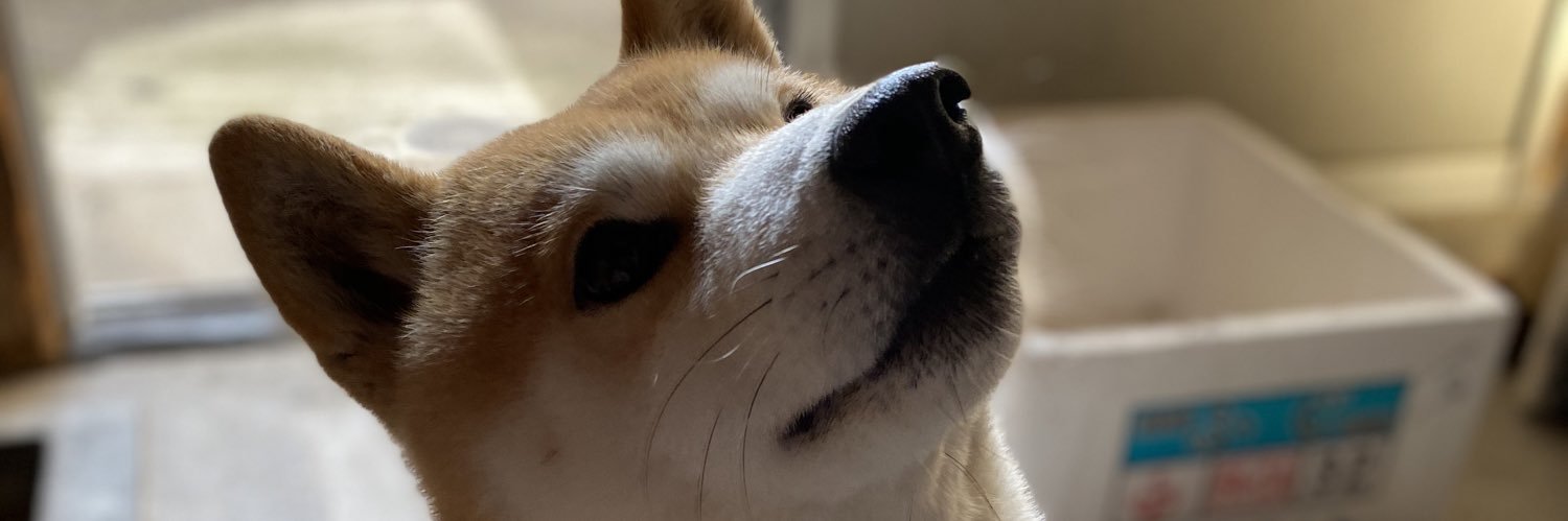 a⑅⃝*॰ॱ banner