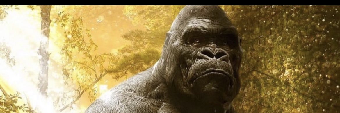 Moh_mutie's profile banner image