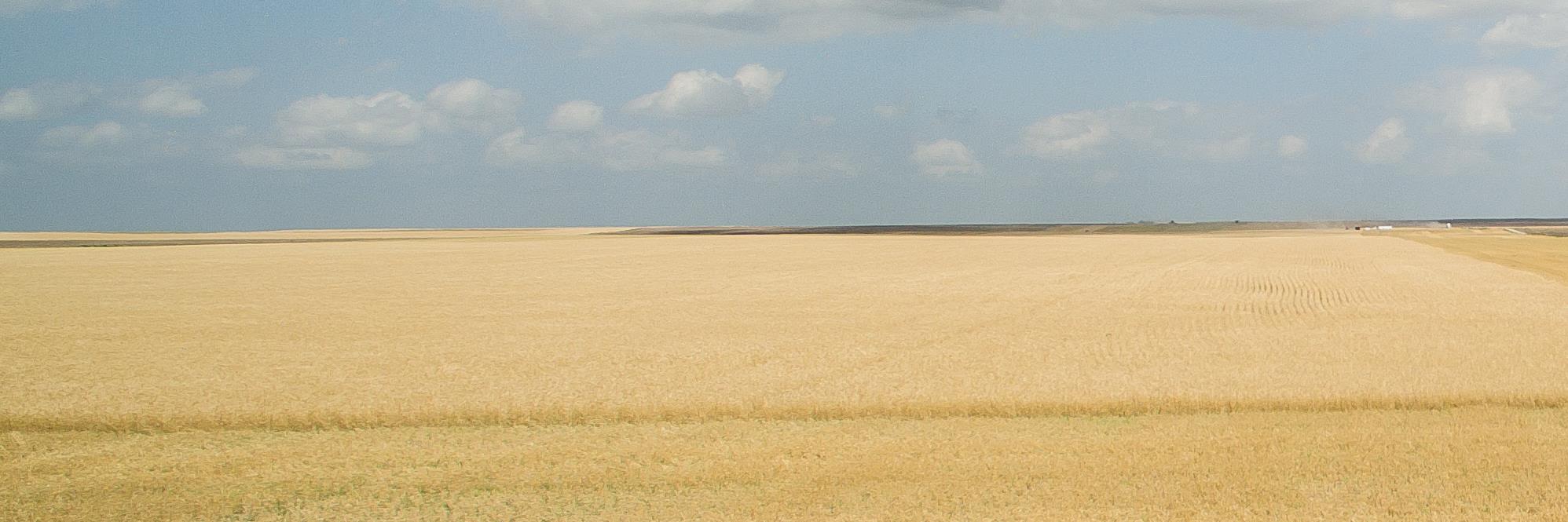 JSGoldston's profile banner image