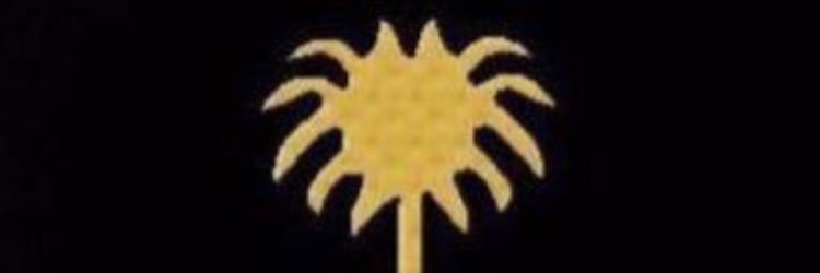 salaah_98's profile banner image