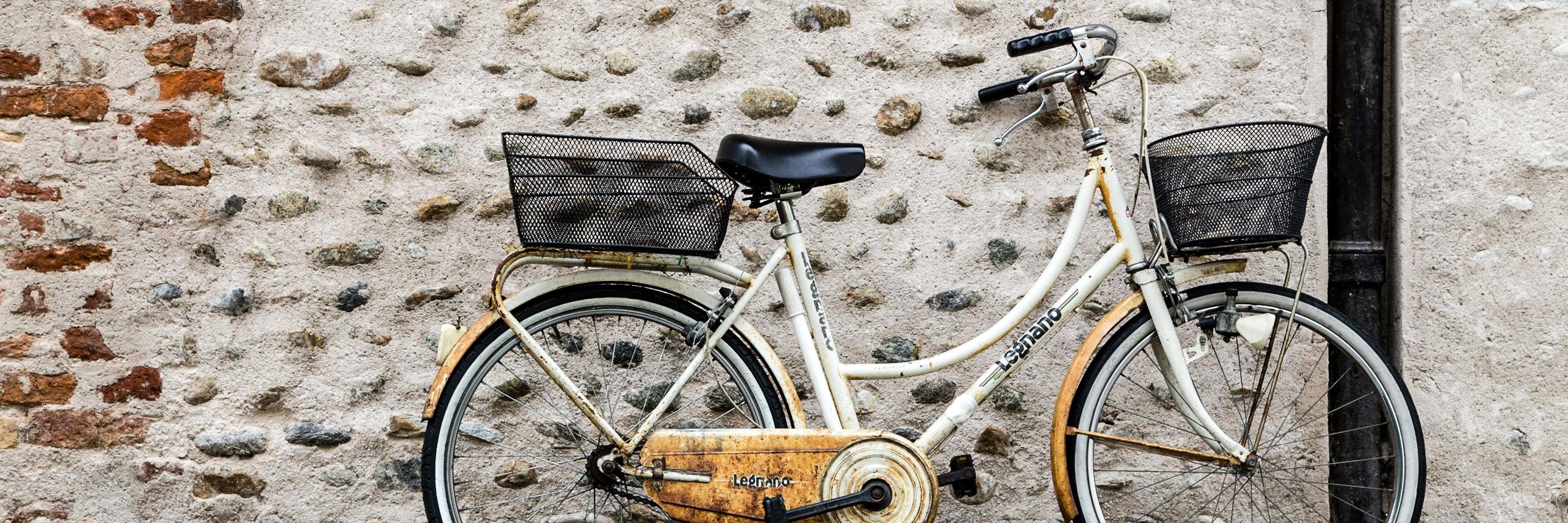 Massimiliano Spelat banner