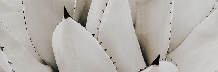 _melseward's profile banner image