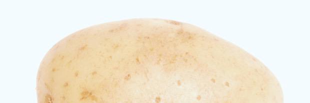 IanitesPotato's profile banner image