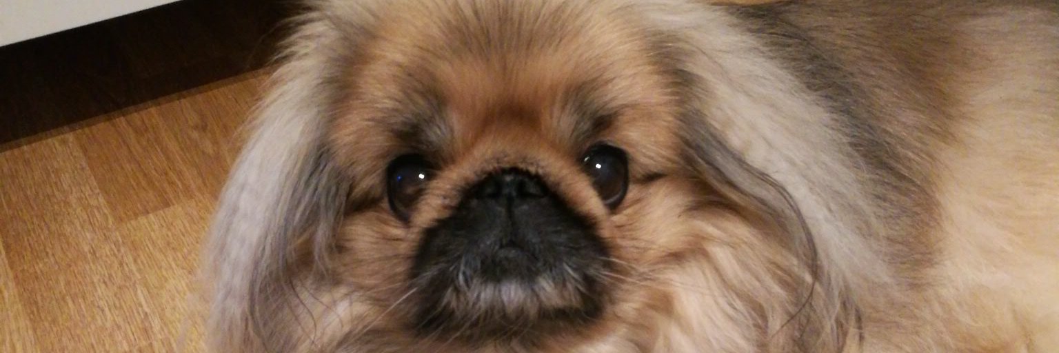 Ellaskogaker's profile banner image