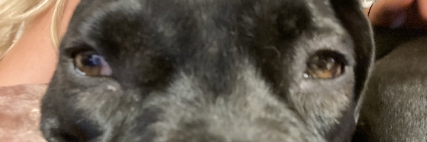 nikkixschaefer's profile banner image