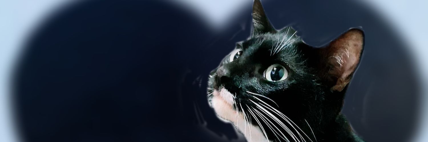 TomVercoza's profile banner image