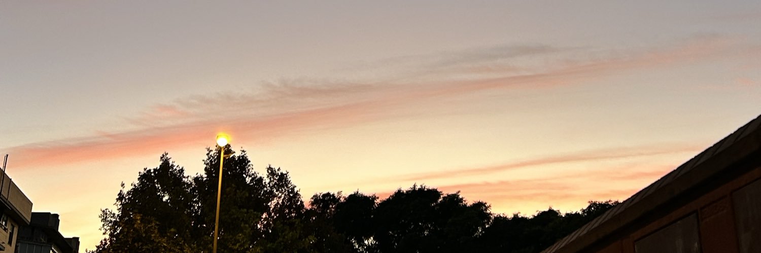 _minclementine's profile banner image
