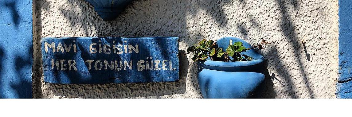 bade_eyuboglu's profile banner image