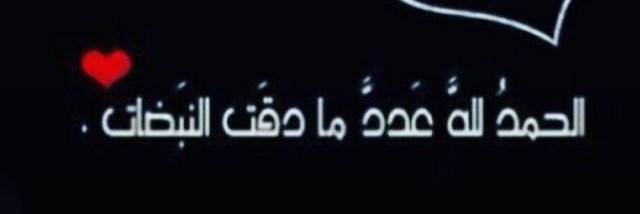 bushashpaa's profile banner image