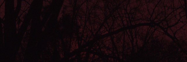 vvuun's profile banner image