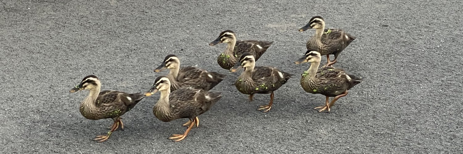 まいくchang banner