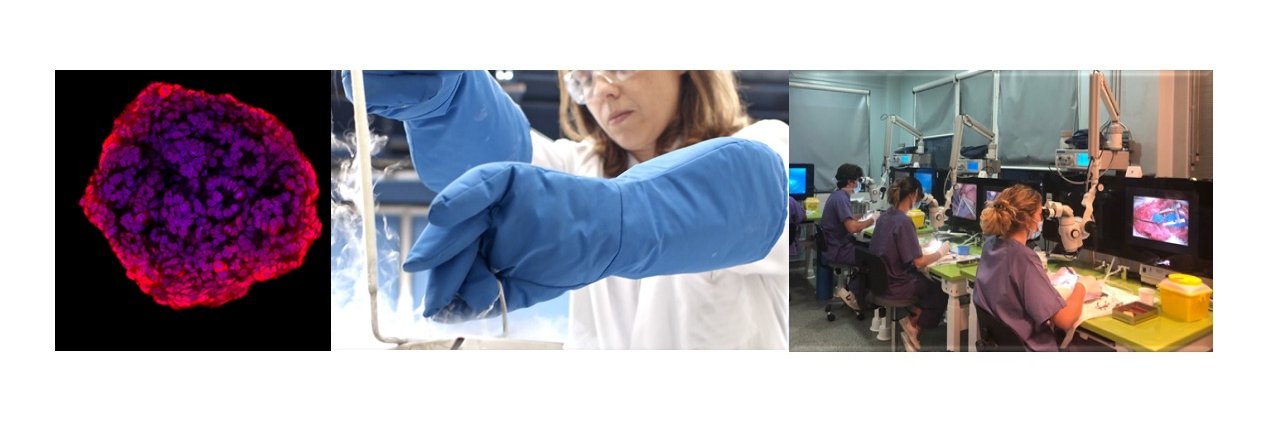 Platform ISCIII Biomodels and Biobanks banner