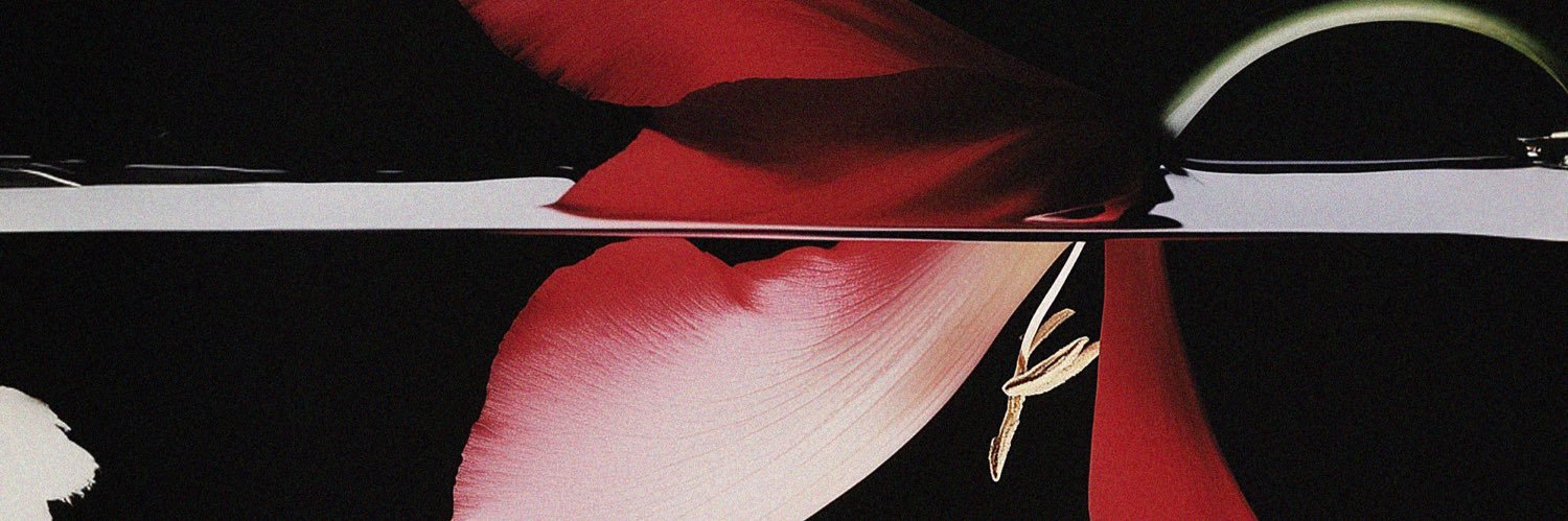 SOLOVEI banner