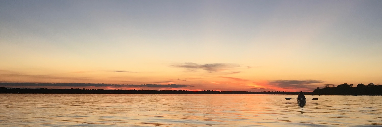 Alyssa Mt. Pleasant (@bettyrbl.bsky.social) banner