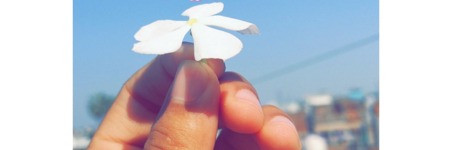 hunny____'s profile banner image