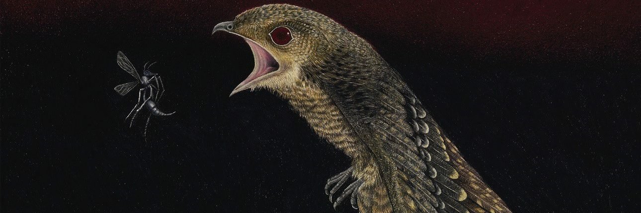 Gilberto Marcos banner