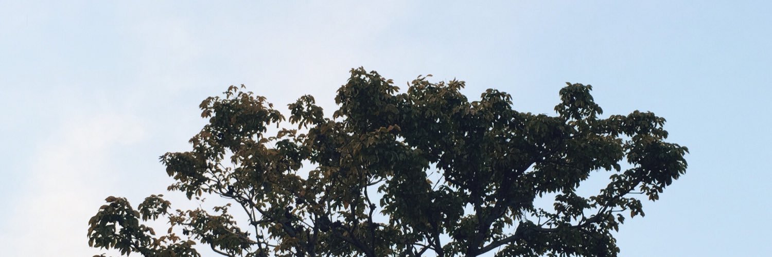 DatyBNB's profile banner image