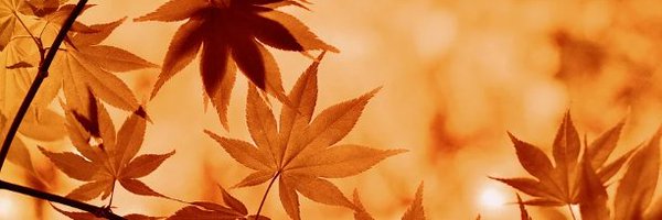qkrtndyd87 Profile Banner