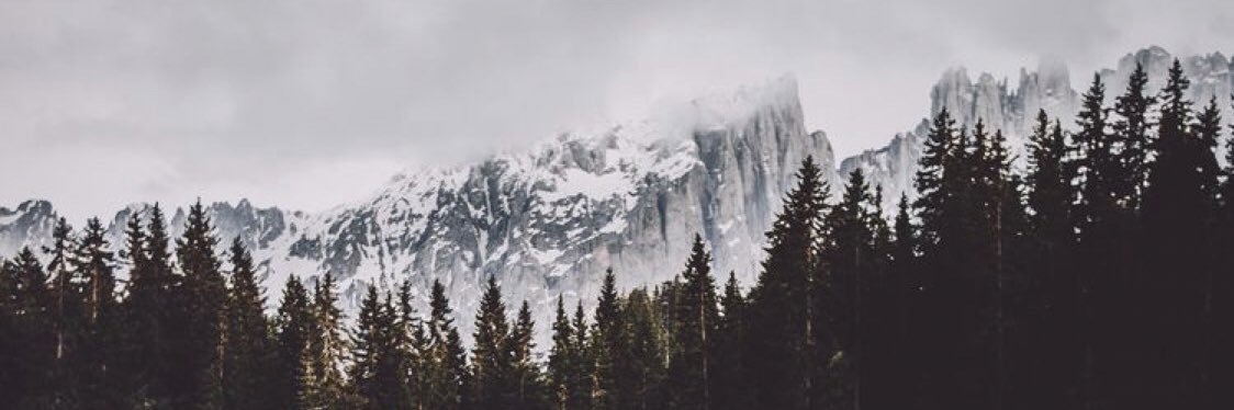 renaxarter's profile banner image