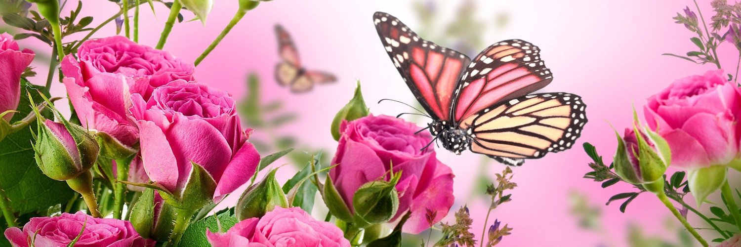 MichellyRibeiro's profile banner image