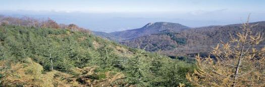 Etienne Guyot banner