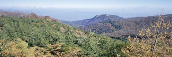 Etguyot Profile Banner