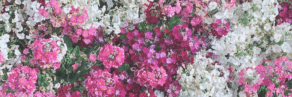 __mii927's profile banner image