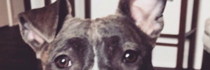 Jill__Anderson's profile banner image