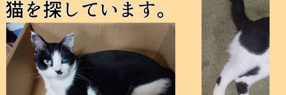 kyusui_polymer's profile banner image