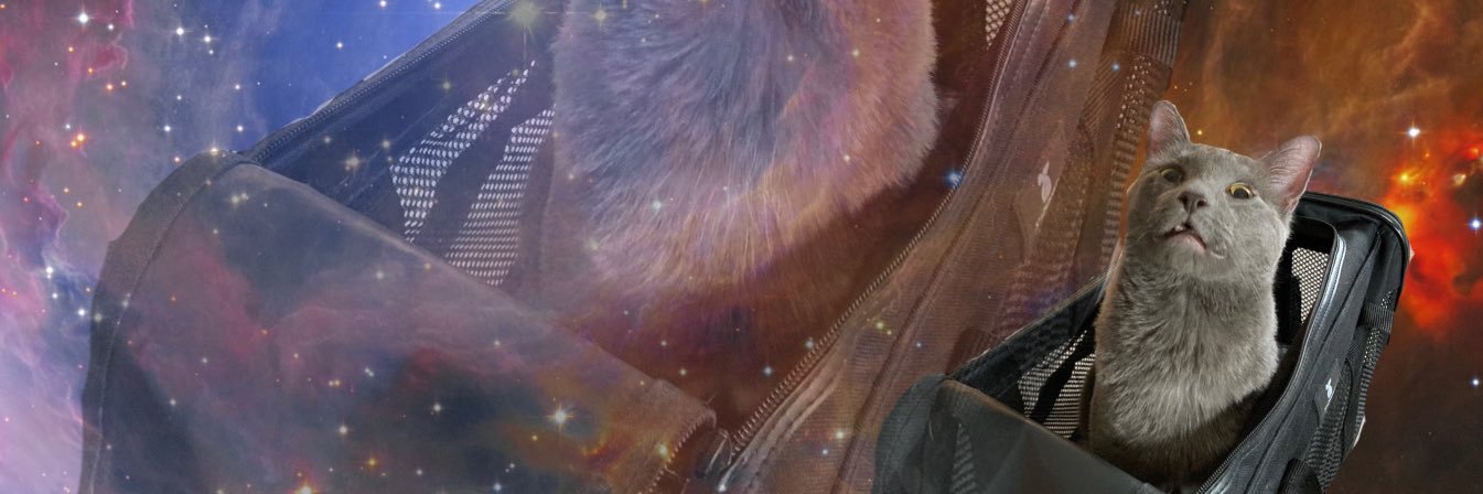 ecbee_96's profile banner image