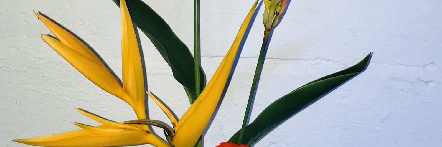 DoralidaV's profile banner image