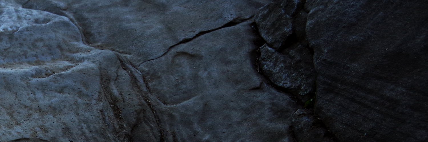 lilymilligann's profile banner image