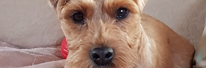 bobbybishop86's profile banner image