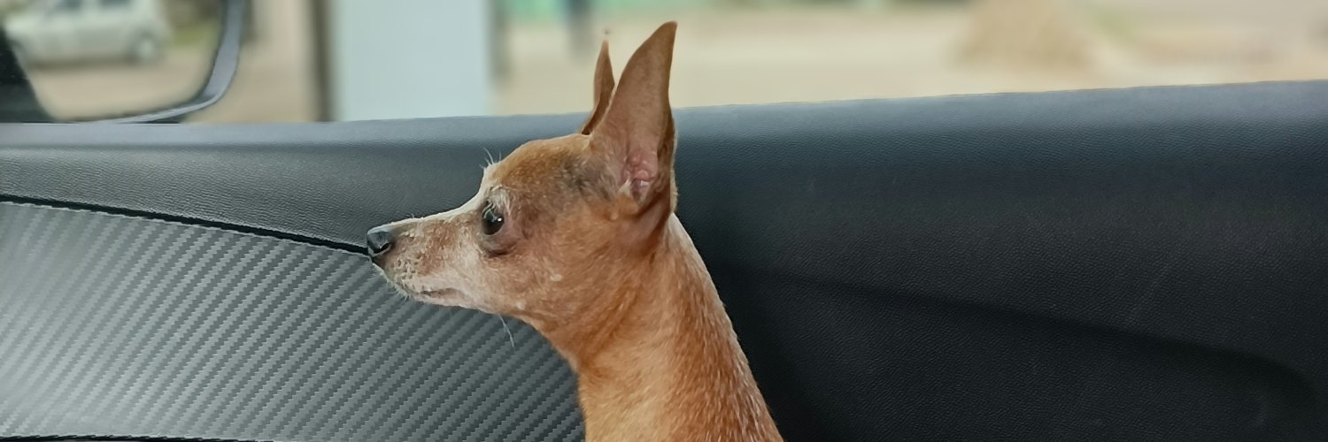 DaianaaVidal's profile banner image