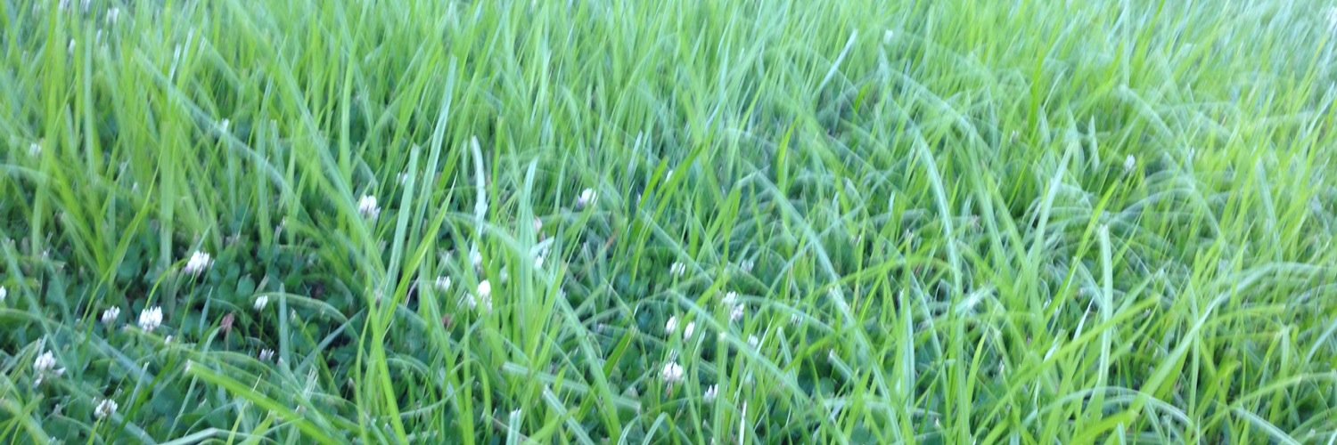 Benner off in Ohio banner