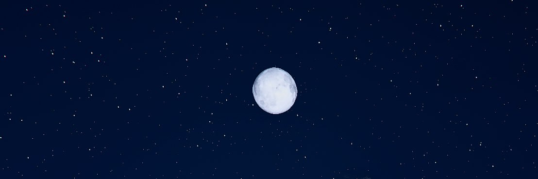 wiIIskeez's profile banner image