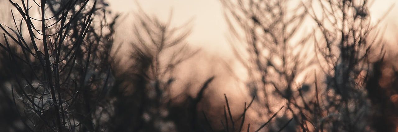 spartack73's profile banner image